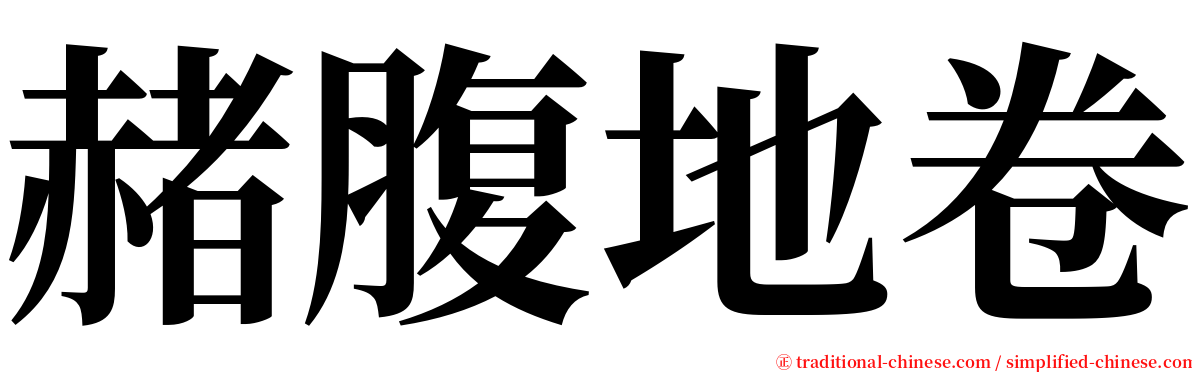 赭腹地卷 serif font