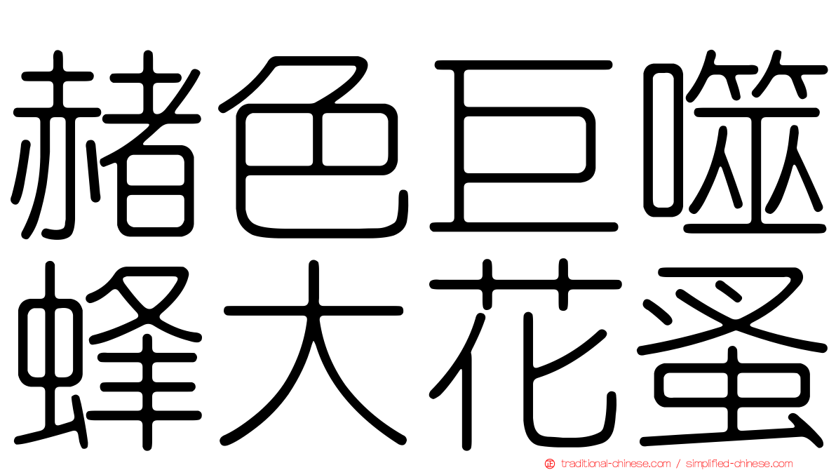 赭色巨噬蜂大花蚤