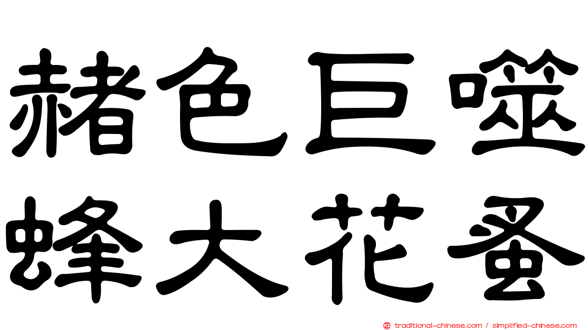 赭色巨噬蜂大花蚤