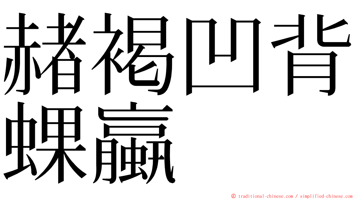 赭褐凹背蜾蠃 ming font