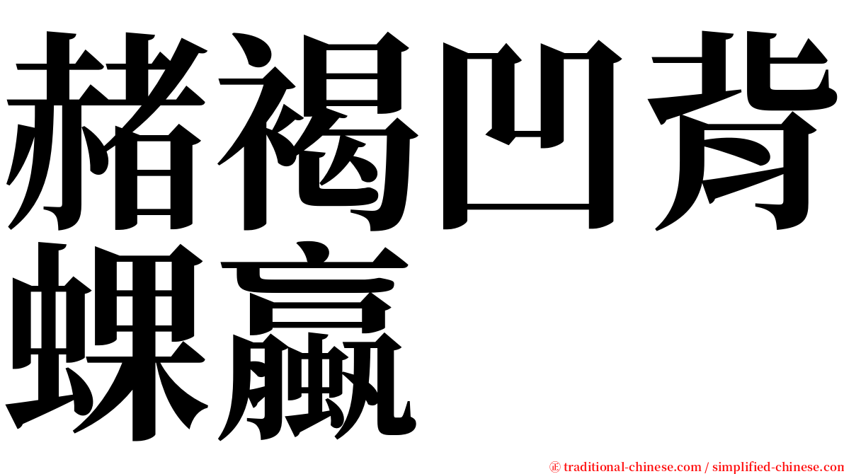 赭褐凹背蜾蠃 serif font