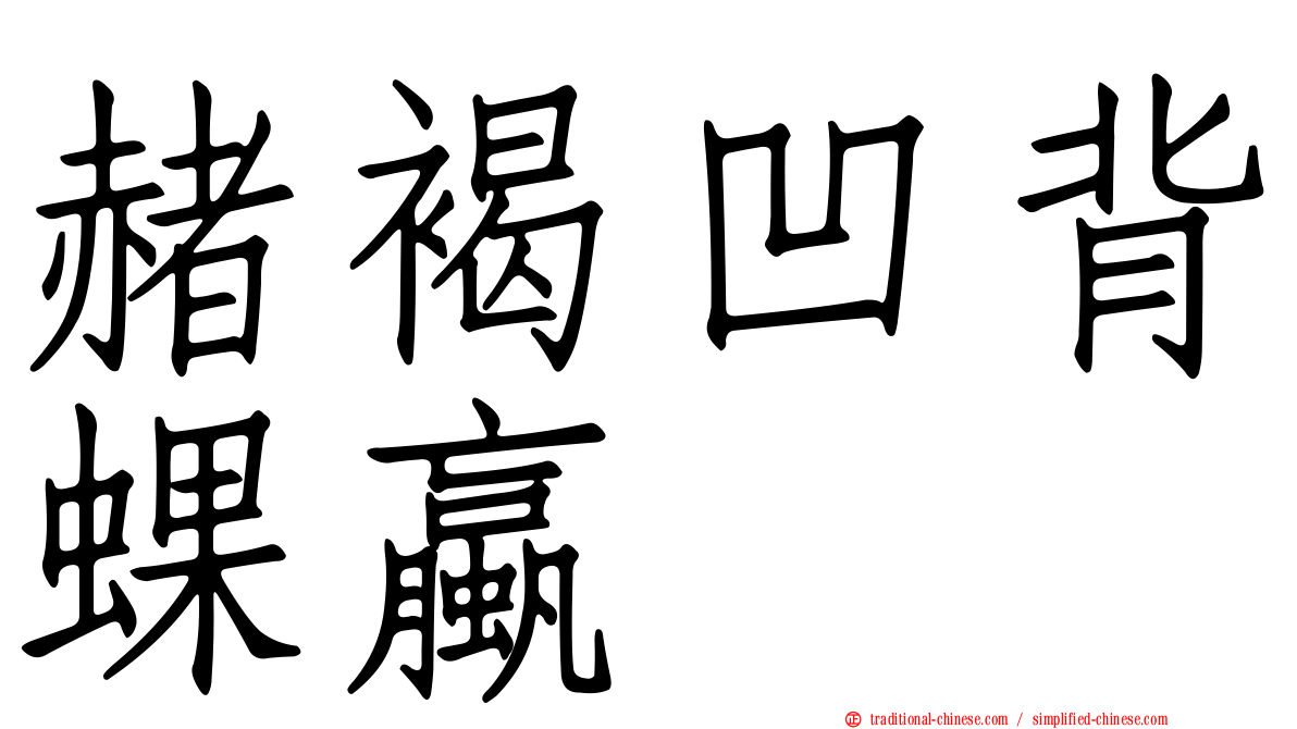 赭褐凹背蜾蠃