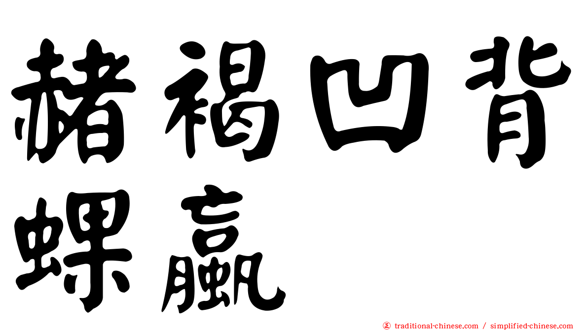 赭褐凹背蜾蠃