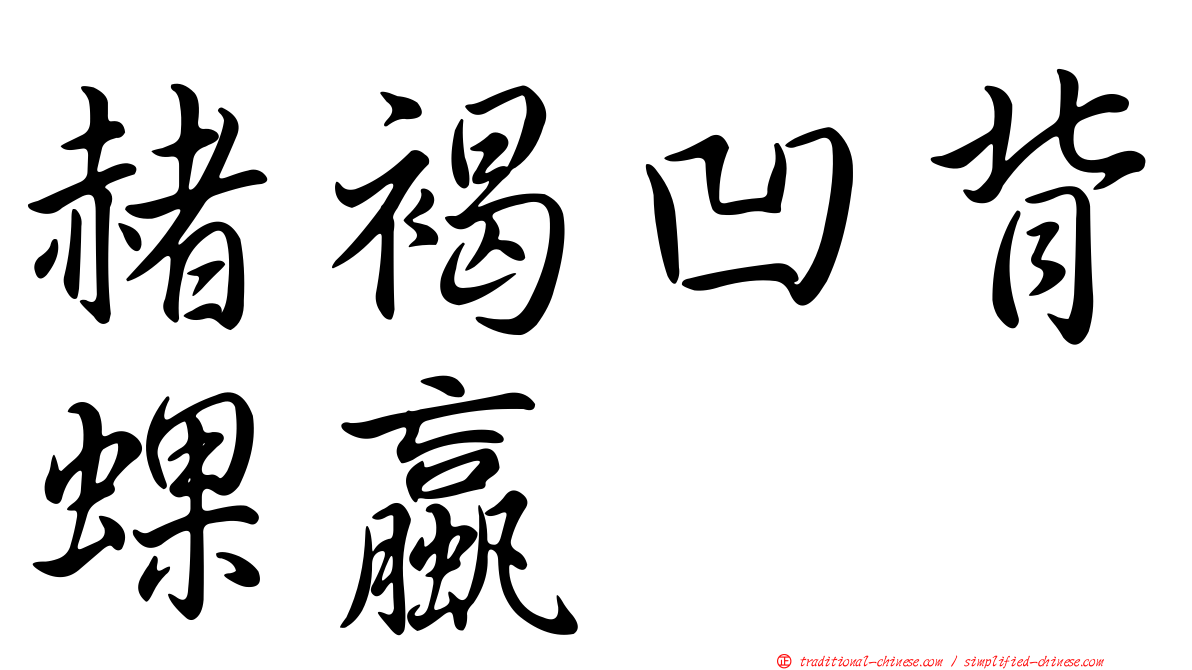 赭褐凹背蜾蠃