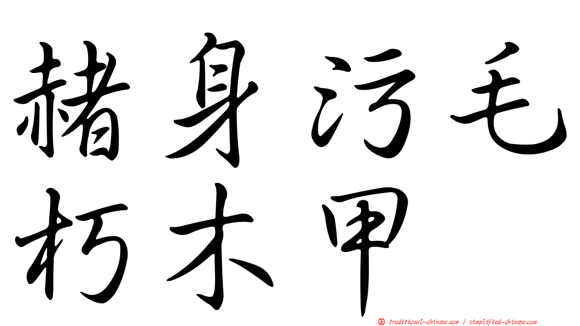 赭身污毛朽木甲