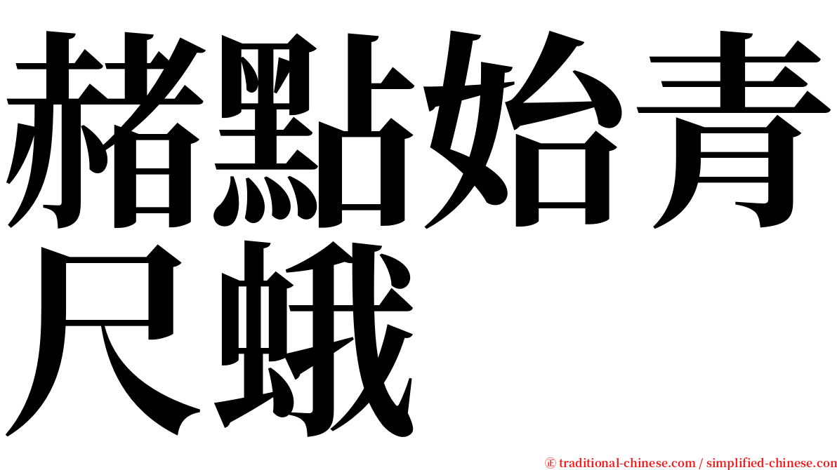 赭點始青尺蛾 serif font