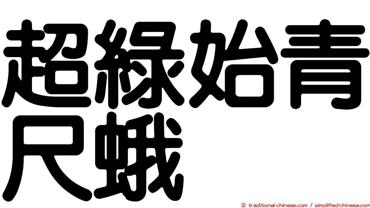 超綠始青尺蛾
