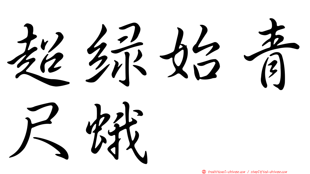 超綠始青尺蛾