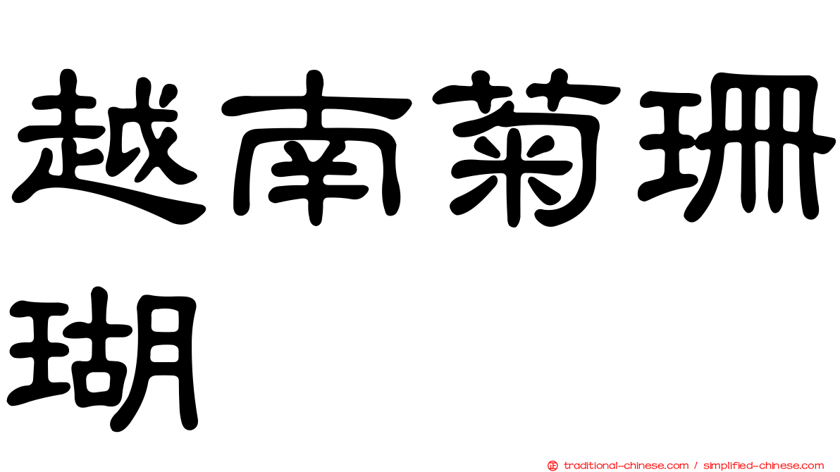 越南菊珊瑚