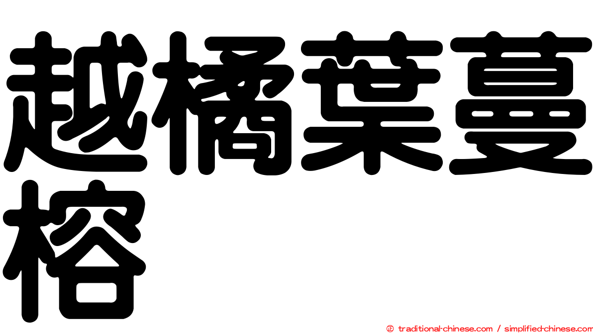 越橘葉蔓榕