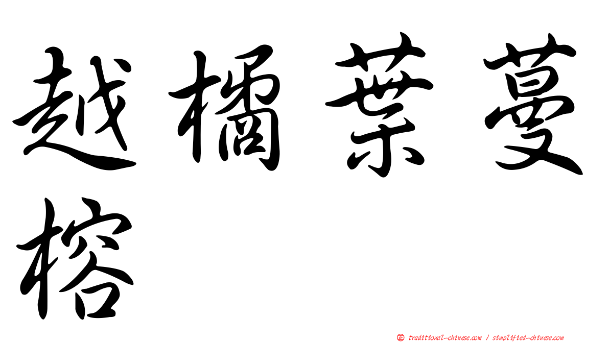 越橘葉蔓榕