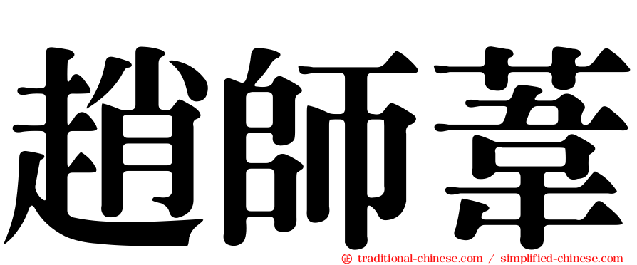 趙師葦