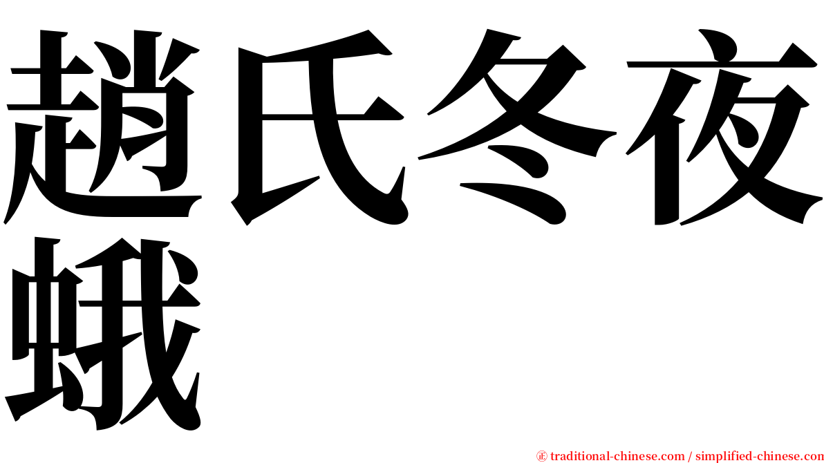 趙氏冬夜蛾 serif font