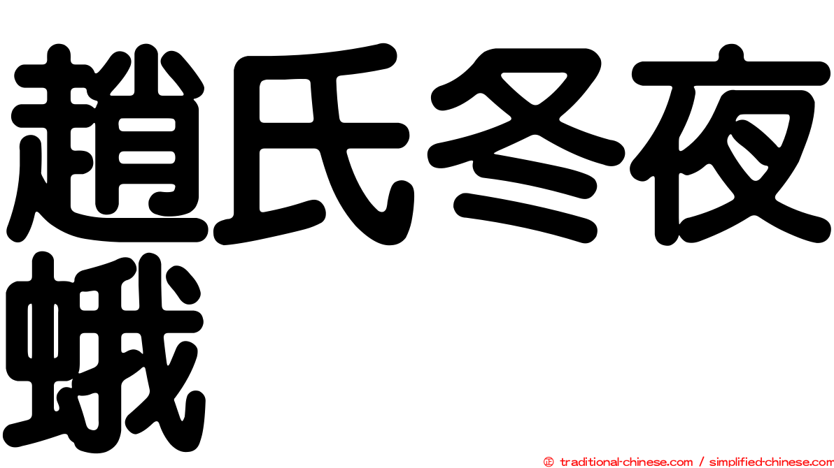 趙氏冬夜蛾