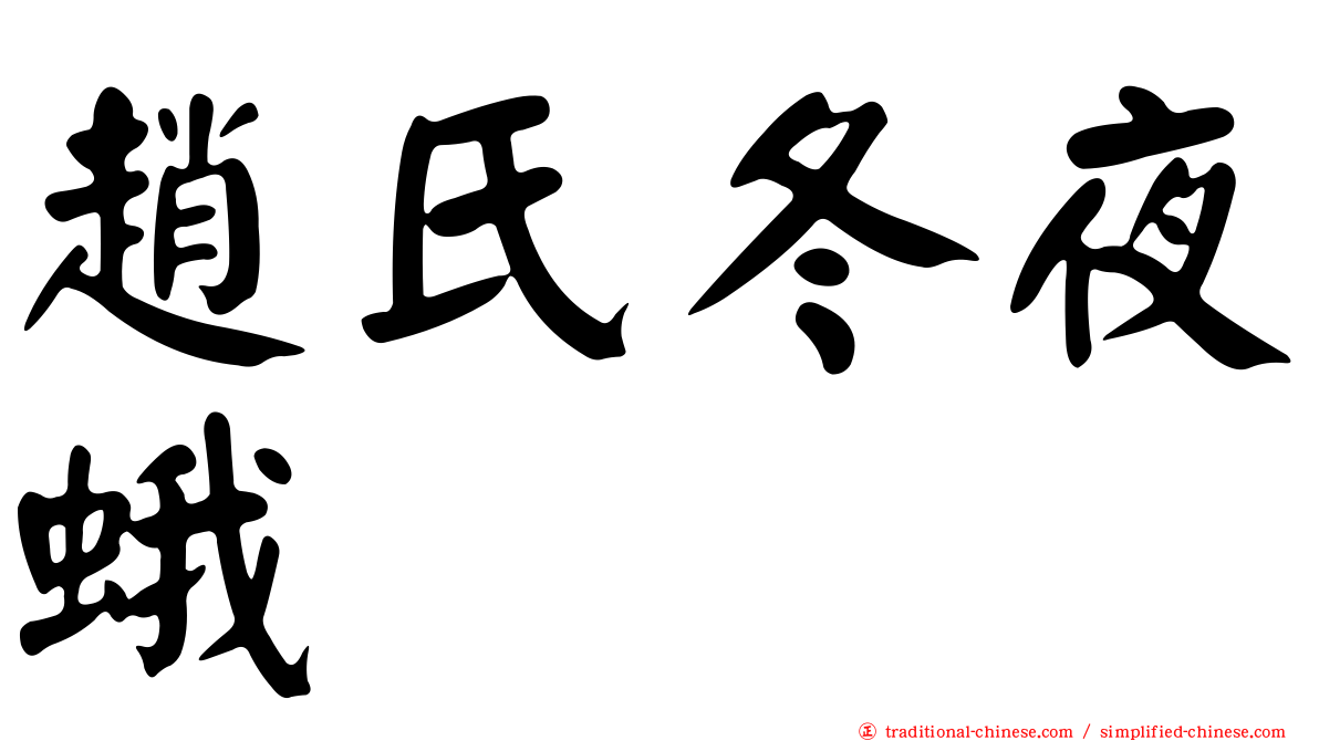 趙氏冬夜蛾