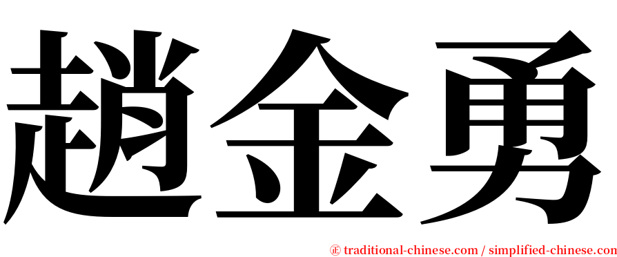 趙金勇 serif font