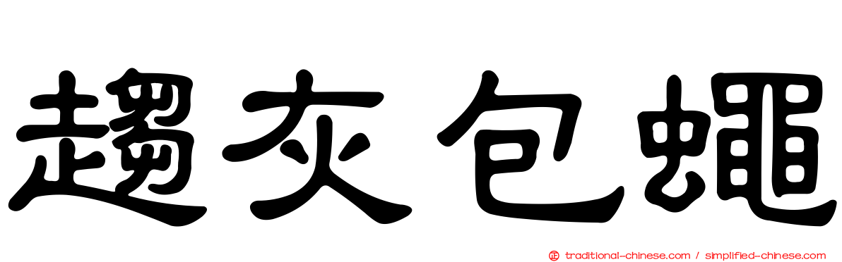 趨灰包蠅