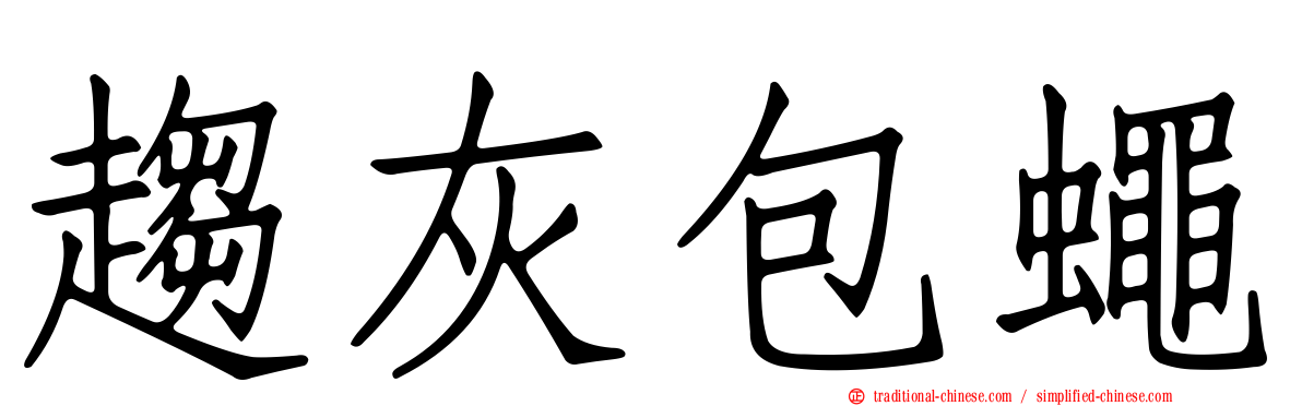 趨灰包蠅
