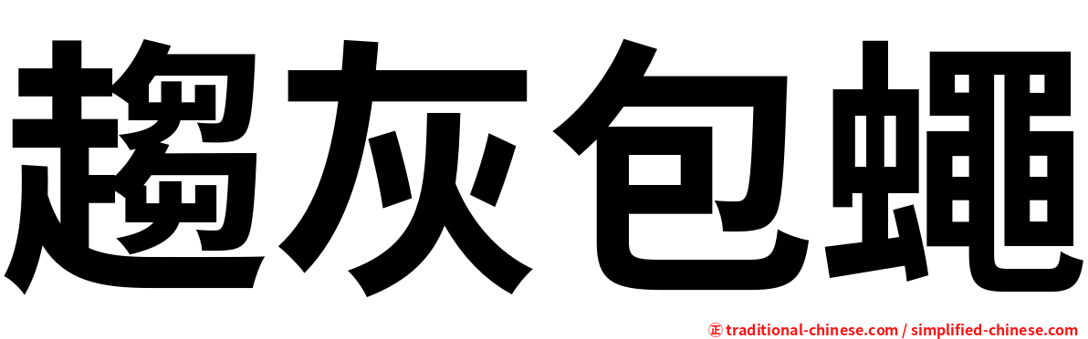 趨灰包蠅
