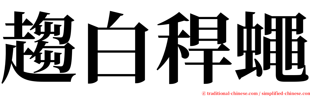 趨白稈蠅 serif font