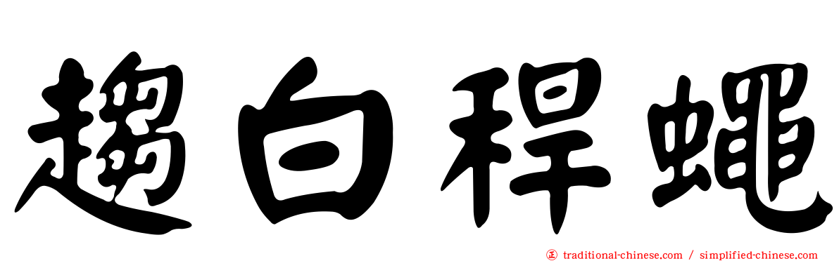 趨白稈蠅