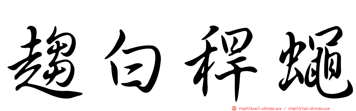 趨白稈蠅