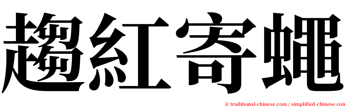 趨紅寄蠅 serif font