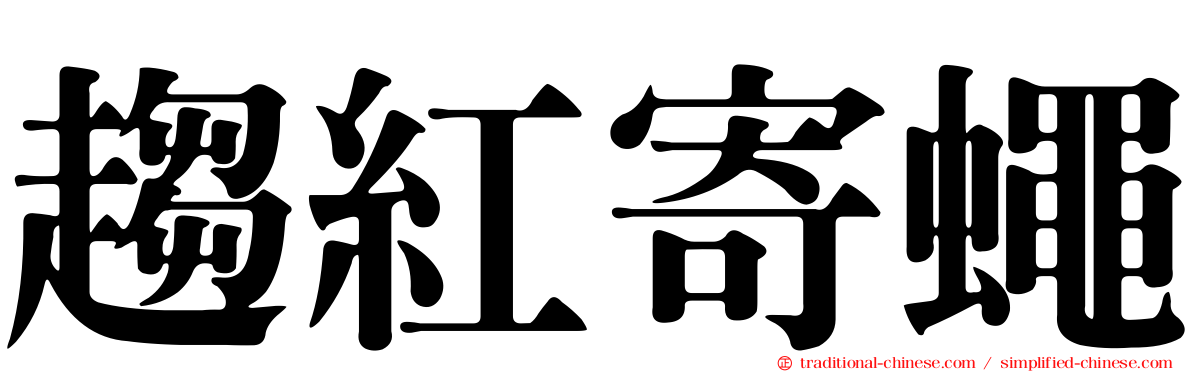 趨紅寄蠅