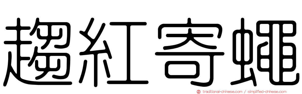 趨紅寄蠅