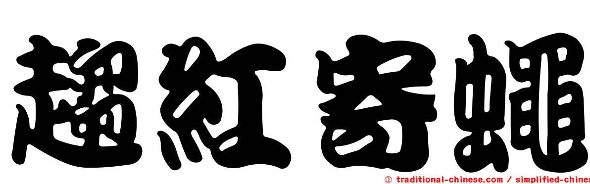趨紅寄蠅
