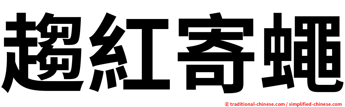 趨紅寄蠅