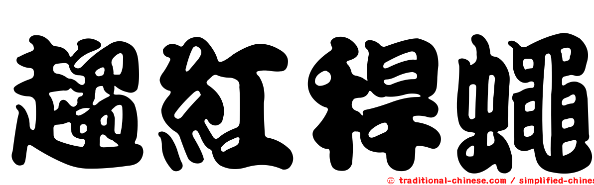 趨紅稈蠅