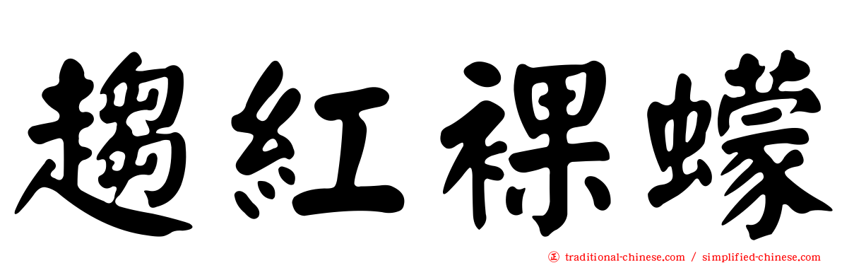 趨紅裸蠓