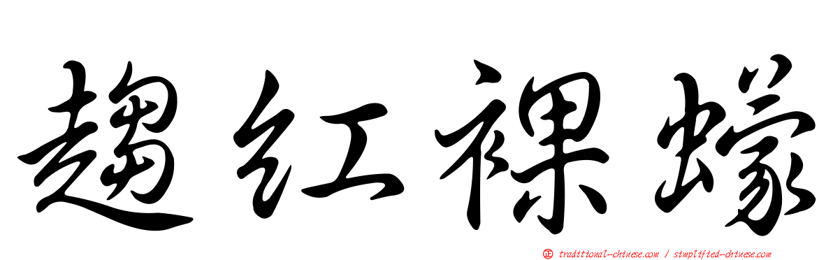 趨紅裸蠓