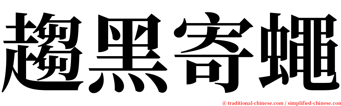 趨黑寄蠅 serif font