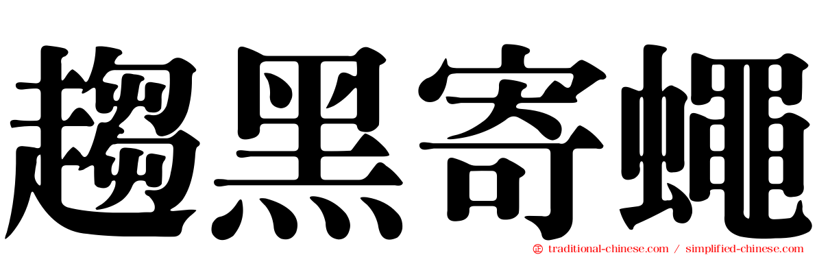 趨黑寄蠅