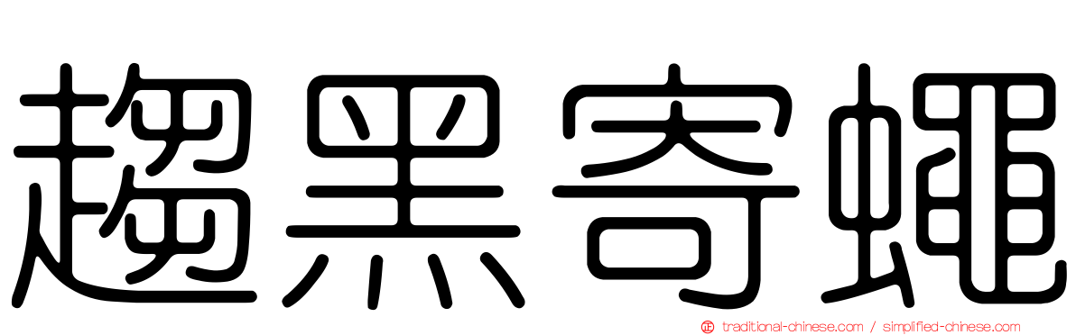 趨黑寄蠅