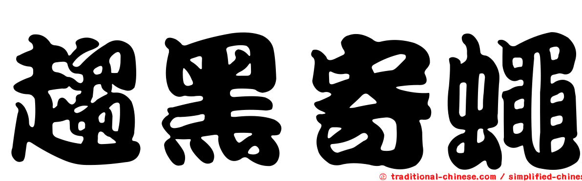 趨黑寄蠅