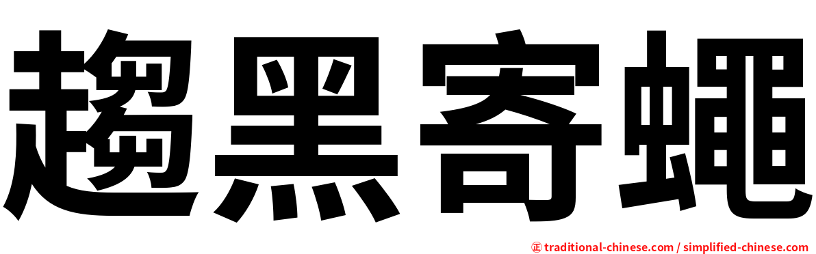 趨黑寄蠅