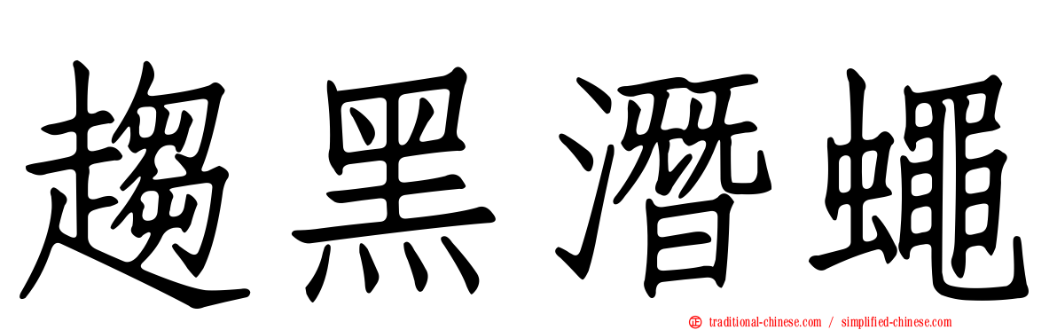 趨黑潛蠅