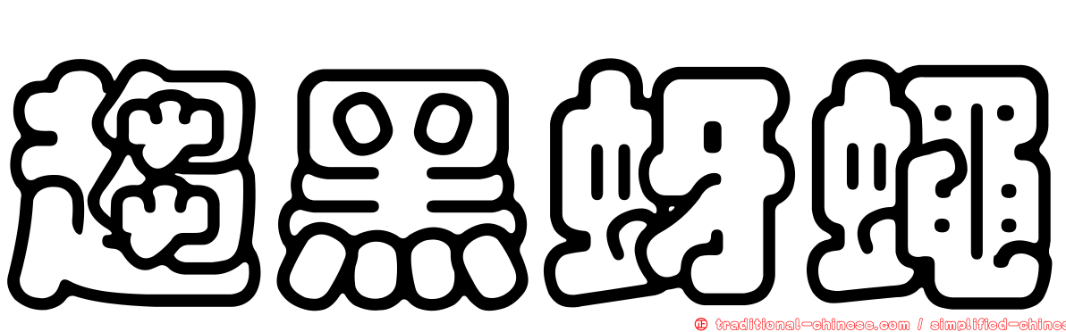 趨黑蚜蠅