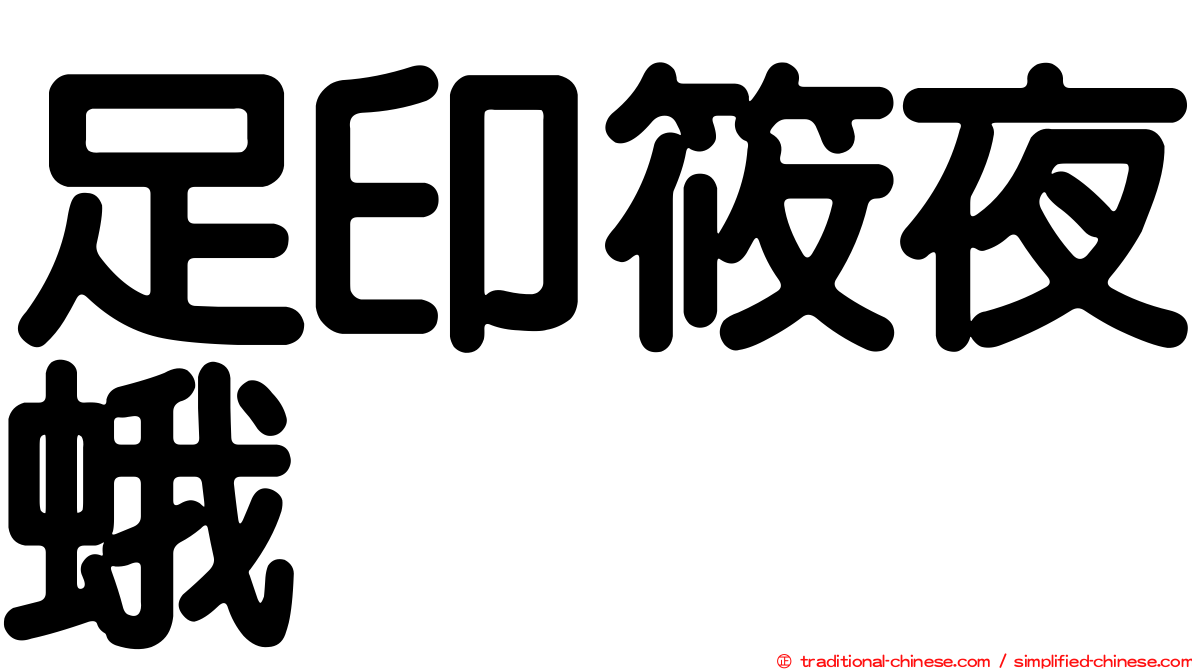 足印筱夜蛾