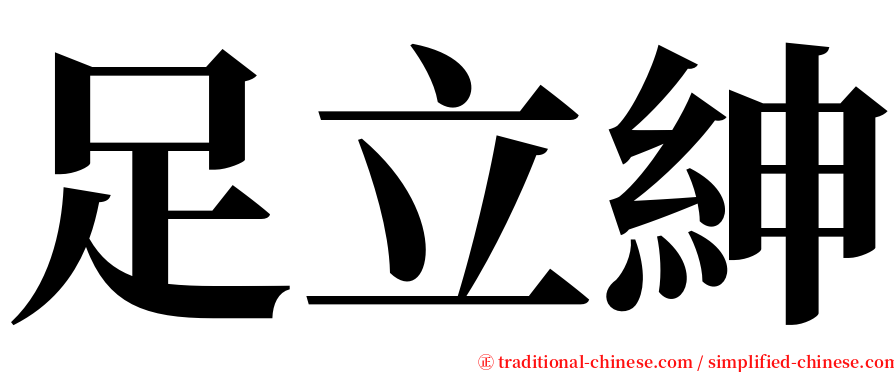 足立紳 serif font