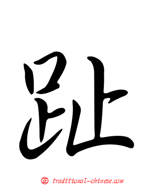 趾