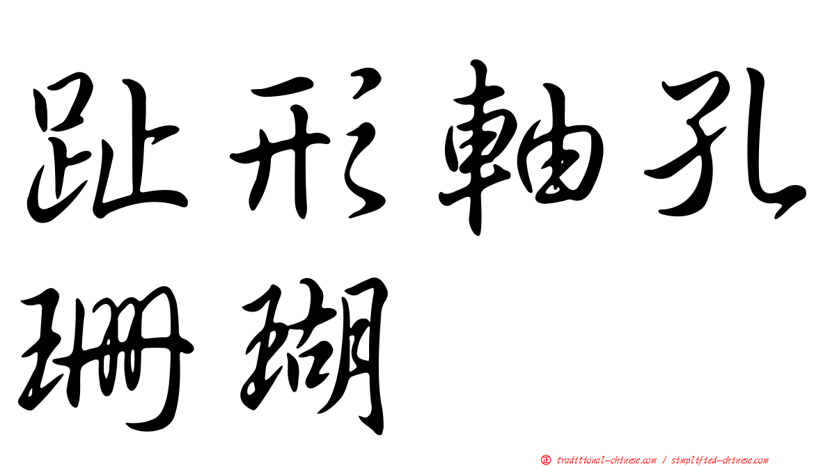 趾形軸孔珊瑚