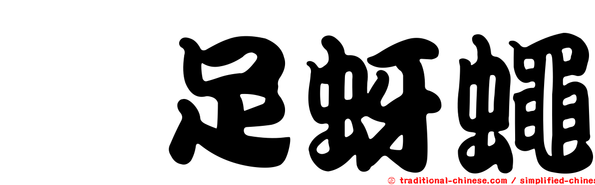 跗足蚜蠅