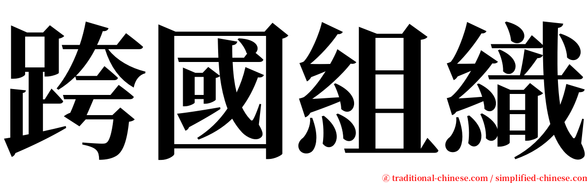 跨國組織 serif font