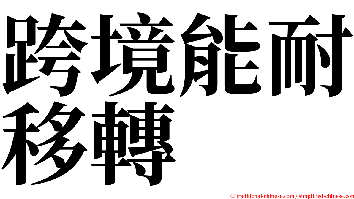 跨境能耐移轉 serif font