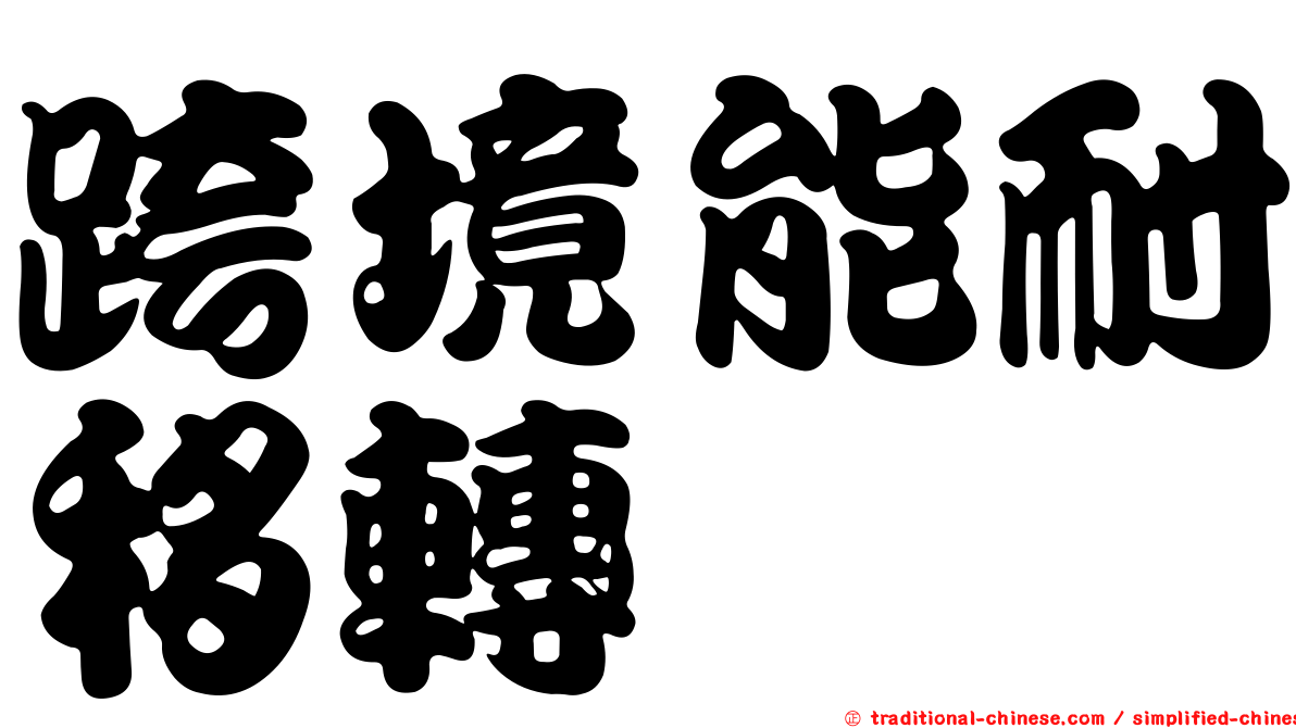 跨境能耐移轉