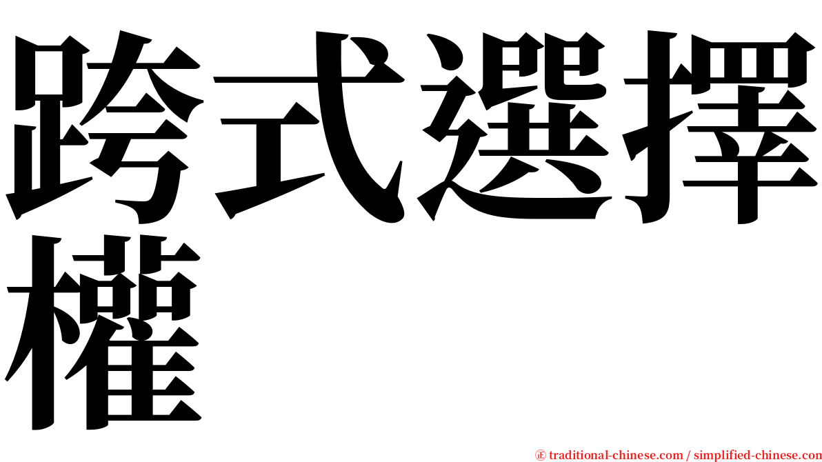 跨式選擇權 serif font